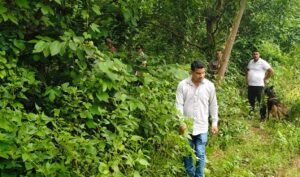 Read more about the article ବାରମଞ୍ଚା ଗଣ ଦୁଷ୍କର୍ମ ମାମଲା: ଜଣେ ଅଭିଯୁକ୍ତ ଗିରଫ
