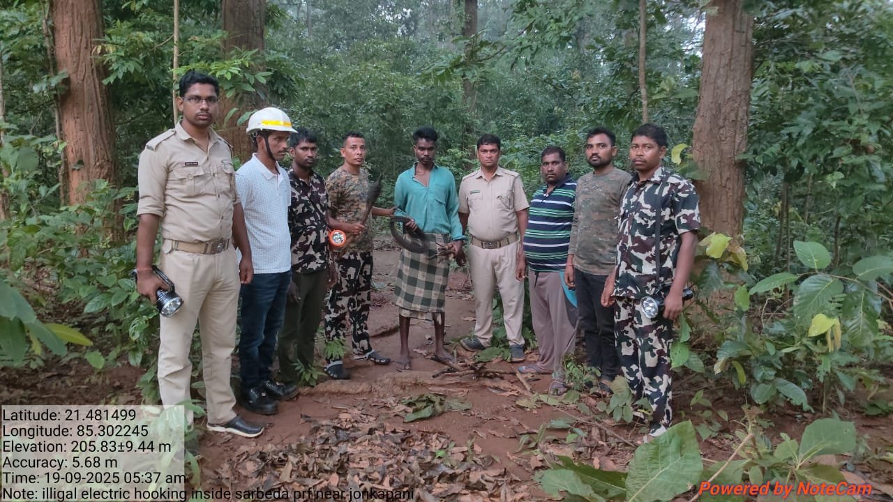 You are currently viewing ପାଳଲହଡ଼ାରେ ଜଙ୍ଗଲୀ ଜନ୍ତୁ ଶିକାର ବେଳେ ଜଣେ ଗିରଫ