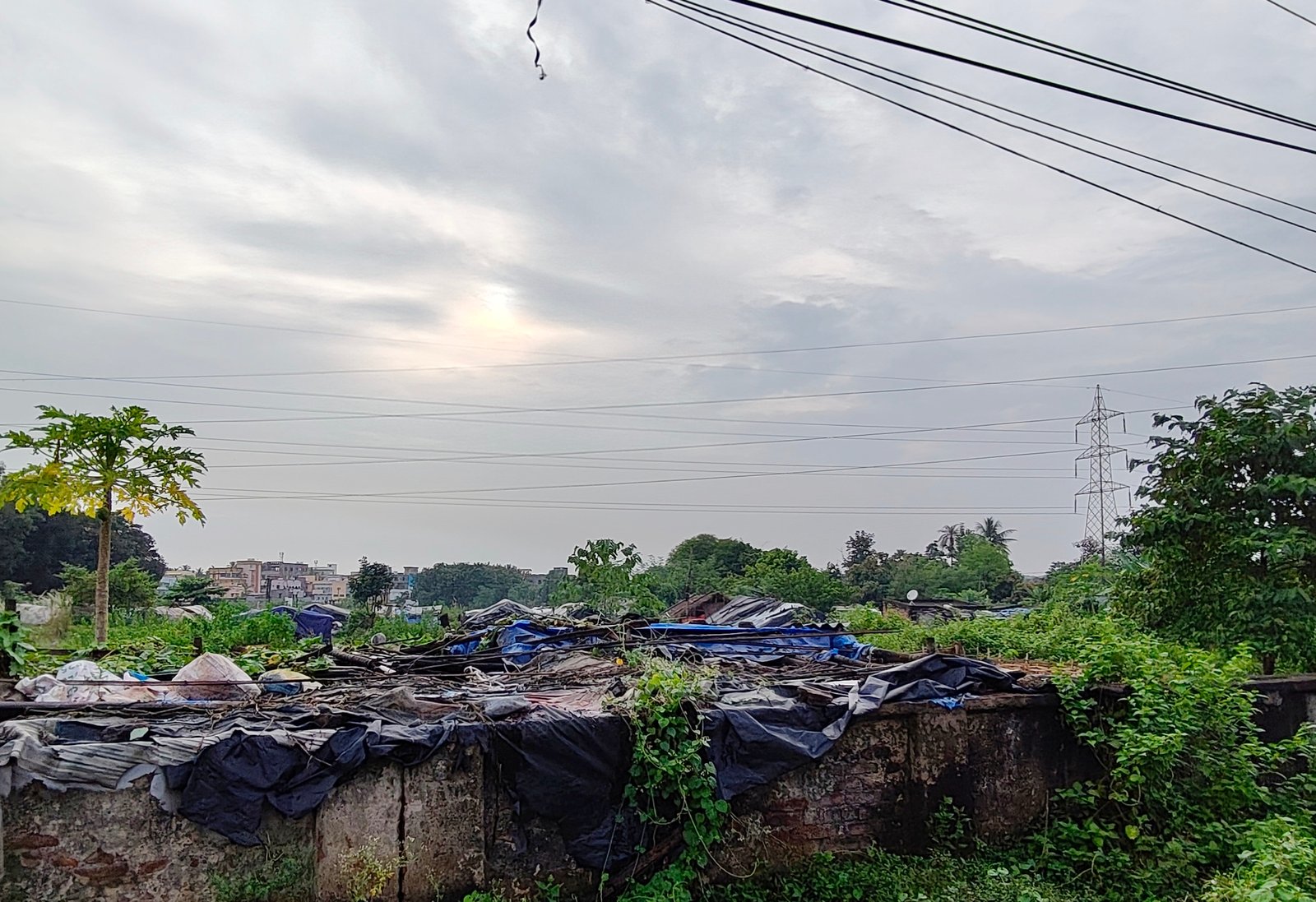 You are currently viewing ଗୁଣ୍ଠକୁ ୨ ଲକ୍ଷ ଟଙ୍କାରେ ବିକ୍ରି ହେଉଛି ସରକାରୀ ଜମି, ଗାଣ୍ଡୁ ପଡ଼ିଆକୁ ବେଆଇନ ଭାବେ ବିକୁଛନ୍ତି ଦଲାଲ