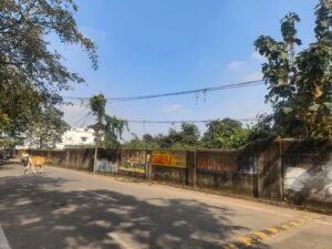 Read more about the article ନଗରପାଳଙ୍କ ମହତ କାର୍ଯ୍ୟ, ସମାଜସେବୀଙ୍କ ସହାୟତାରେ ସଫା କଲେ କଣ୍ଟା ଗଛ