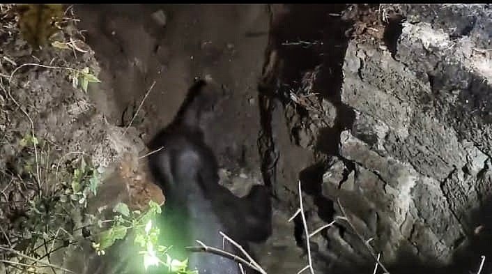 You are currently viewing କୂଅରୁ ହାତୀ ଛୁଆ ଉଦ୍ଧାର, ଜେସିବି ସାହାଯ୍ୟରେ ବାହାର କଲା ବନ ବିଭାଗ