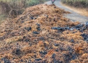 Read more about the article ଧୋବାପାଳରେ ନିଆଁ ଲାଗି ୩ ହଜାର ବିଡ଼ା ଧାନ ପୋଡ଼ି ପାଉଁଶ, ୨ ଚାଷୀ ହତାଶ