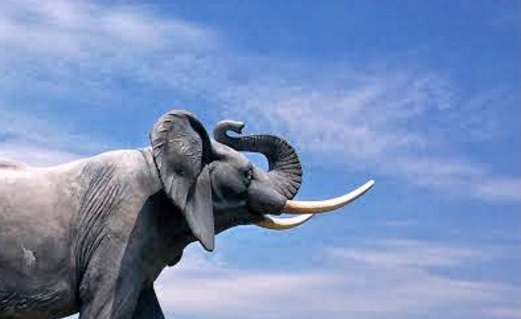 You are currently viewing ଶିକାରୀଙ୍କ ଗୁଳିରେ ଦନ୍ତା ହାତୀ ମୃତ, ବନ ବିଭାଗ କାର୍ଯ୍ୟ ଦକ୍ଷତା ଉପରେ ପ୍ରଶ୍ନ?