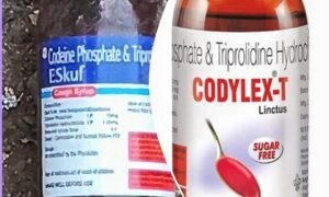 Read more about the article ରେକ୍ସକନ୍ ପରେ ଏବେ ଏସ୍‌କଫ ଓ କୋଡ଼ିଲେକ୍ସ କବଳରେ ଯୁବ ପୀଢ଼ି