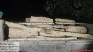 Read more about the article କାଠ ଲଦା ହୋଇଥିବା ୧୨ଟି ଗାଡ଼ି ଜବତ କଲା ବନ ବିଭାଗ