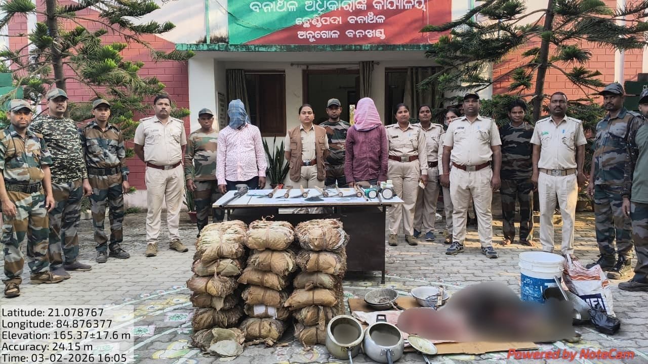 You are currently viewing ଅନୁଗୁଳ ବନଖଣ୍ଡରେ ‘ଜୀବଦୟା’ ଅଭିଯାନ: ବନ୍ଧୁକ ଓ ବୋମା ସହ ଶିକାରୀ ଗିରଫ, ବାରହା ମାଂସ ଜବତ