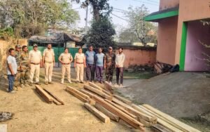 Read more about the article ପରିତ୍ୟକ୍ତ ଘରେ ଚାଲିଥିଲା ଚୋରା କାଠ କାରବାର; ମାଡ଼ି ବସିଲା ବନ ବିଭାଗ, ବହୁ ପରିମାଣର କାଠ ଜବତ