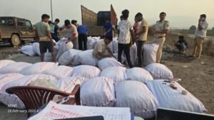 Read more about the article ଅନୁଗୁଳରେ ଦେଢ଼ କୋଟିର ଗଞ୍ଜେଇ ଜବତ, ଜଣେ ଗିରଫ