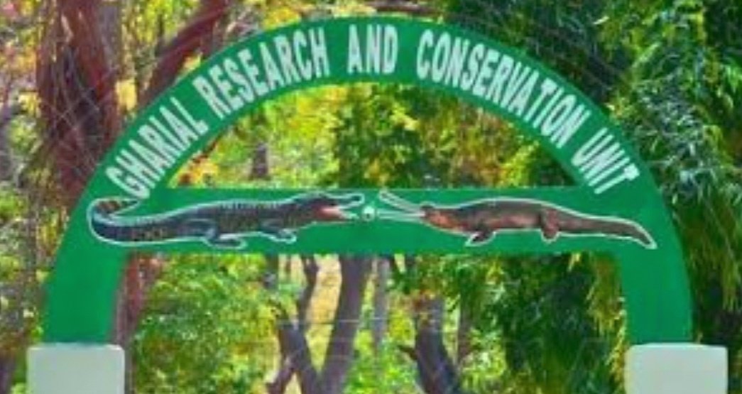 You are currently viewing ମଗରର ମୃତ ଦେହ ଉଦ୍ଧାର