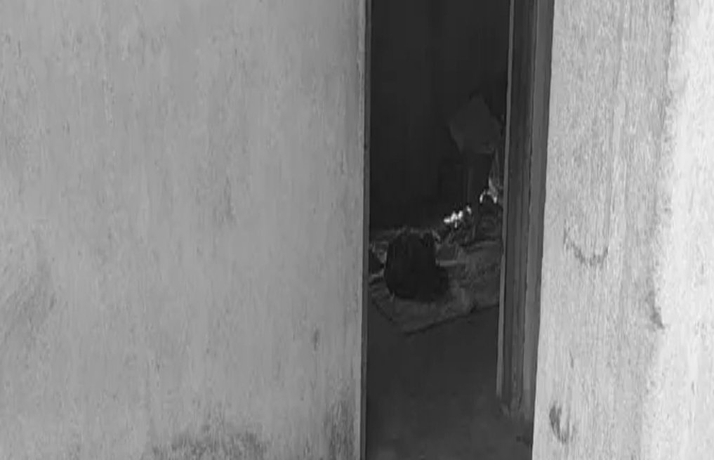 You are currently viewing ଘର ଭିତରୁ ଯୁବକଙ୍କ ମୃତଦେହ ଉଦ୍ଧାର: ହତ୍ୟା ହୋଇଥିବା ଅଭିଯୋଗ କରିଛନ୍ତି  ଭାଇ