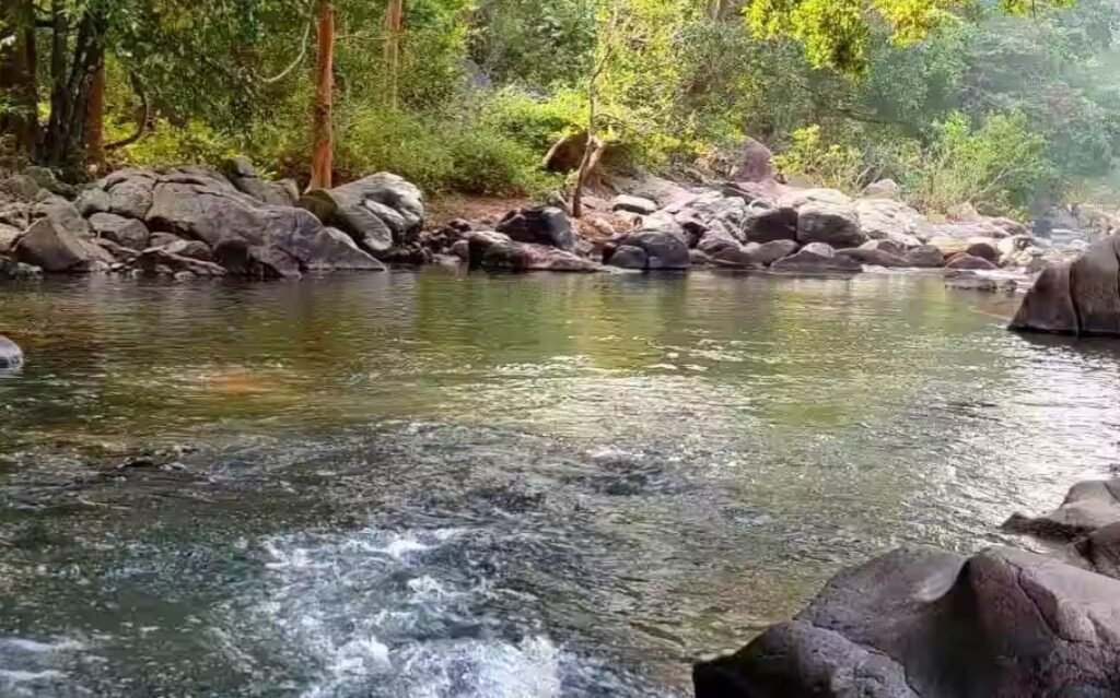 ଅନୁଗୁଳର ସମସ୍ତ ବନାଞ୍ଚଳରେ ପିକନିକ, ସାମାଜିକ ସମାବେଶ ମନା