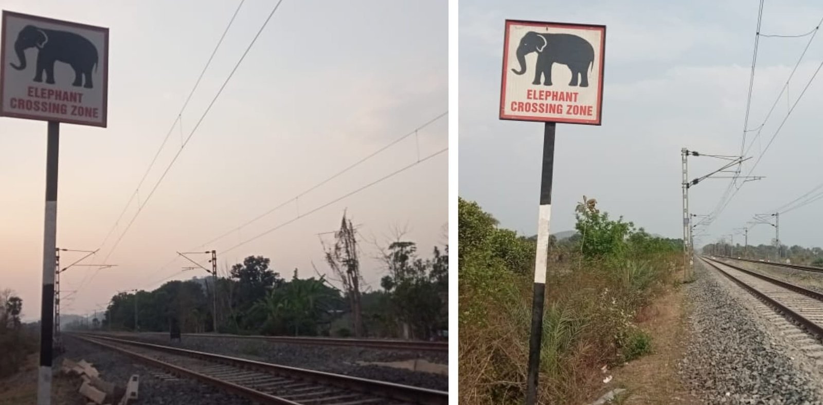 You are currently viewing ହାତୀ ମୃତ୍ୟୁ ରୋକିବା ପାଇଁ ସତର୍କ ସୂଚନା ଖୁଣ୍ଟ ଲାଗିଲା