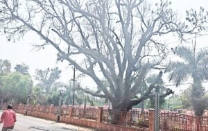 Read more about the article ଆସନ୍ତାକାଲି ସକାଳେ ଅନୁଗୁଳ ଥାନା ଛକରୁ ଏସପି ବାସଭବନ ରାସ୍ତା ବନ୍ଦ; ଜାଣନ୍ତୁ କାହିଁକି