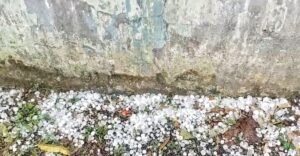 Read more about the article ଅଦିନିଆ ବର୍ଷା ଓ କୁଆପଥର ମାଡ଼: ବଅଁରପାଳରେ ୨୦ରୁ ଅଧିକ ପରିବାର କ୍ଷତିଗ୍ରସ୍ତ