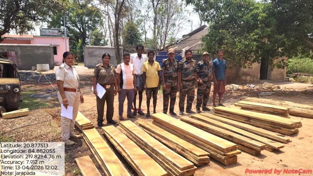 ଜରପଡ଼ା ବନ ବିଭାଗର ବଡ଼ କାର୍ଯ୍ୟାନୁଷ୍ଠାନ: ବିପୁଳ ପରିମାଣର ଚୋରା ଶାଗୁଆନ କାଠ ଜବତ
