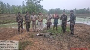 Read more about the article ବଡ଼କାଠିଆ ସଂରକ୍ଷିତ ଜଙ୍ଗଲରୁ ଦୁଇ ଶିକାରୀ ଗିରଫ: ବାରହା ମାଂସ ସହ ବିସ୍ଫୋରକ ଜବତ