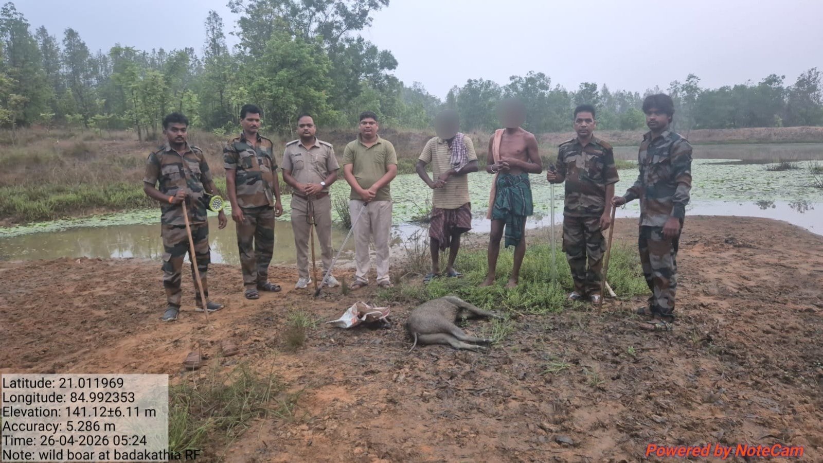 You are currently viewing ବଡ଼କାଠିଆ ସଂରକ୍ଷିତ ଜଙ୍ଗଲରୁ ଦୁଇ ଶିକାରୀ ଗିରଫ: ବାରହା ମାଂସ ସହ ବିସ୍ଫୋରକ ଜବତ