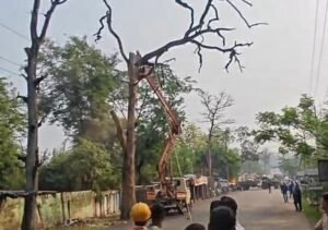 Read more about the article କାଳବୈଶାଖୀ ପରେ ତତ୍ପର ପୌର ପ୍ରଶାସନ; ବିଭିନ୍ନ ଅଞ୍ଚଳରୁ କଟାଗଲା ବିପଜ୍ଜନକ ଗଛ