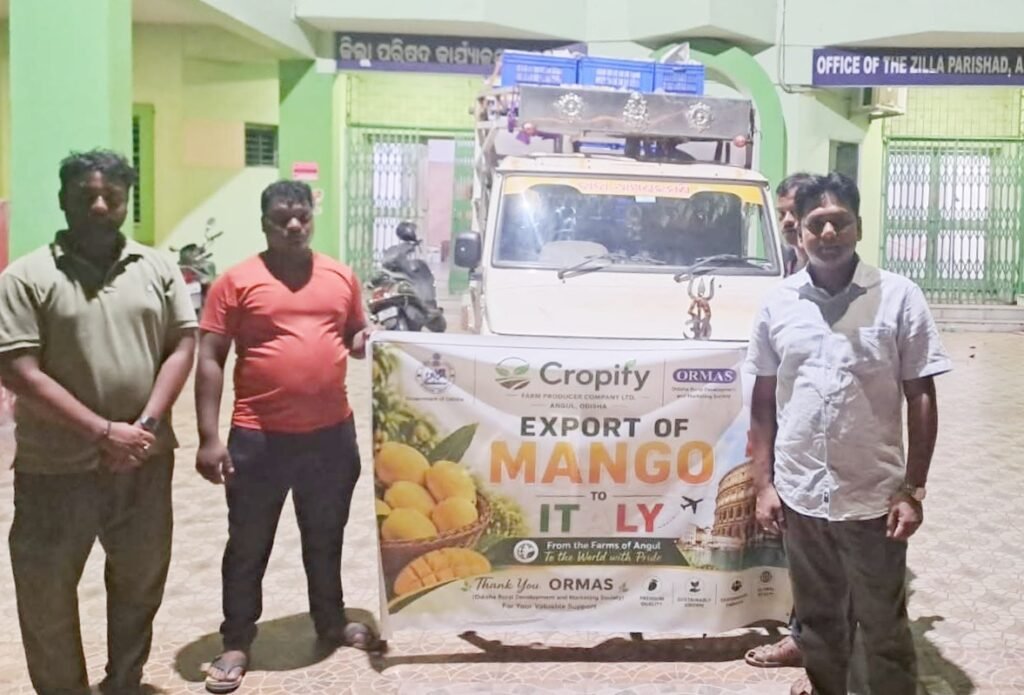 ବିଶ୍ୱ ବଜାରରେ ଅନୁଗୋଳ ଆମ୍ବ: ୨୦ କ୍ଵିଣ୍ଟାଲ ଇଟାଲୀ ପଠାଗଲା