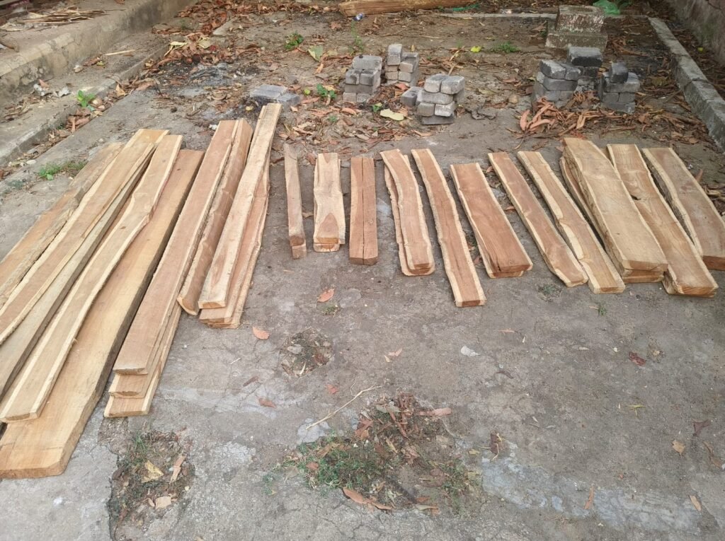 ଅନୁଗୁଳ ବନଖଣ୍ଡରେ ବନ ବିଭାଗର ଚଢ଼ାଉ: ବିପୁଳ ପରିମାଣର ଶାଗୁଆନ କାଠ ଜବତ