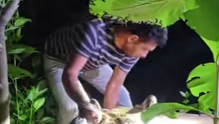 ଥାନା ଭିତରକୁ ପଶିଲା ୧୦ ଫୁଟର ଅଜଗର, ସୁରକ୍ଷିତ ଭାବେ ଉଦ୍ଧାର