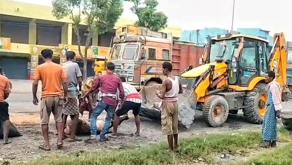 ଟ୍ରକ ଧକ୍କାରେ ୧୦ରୁ ଅଧିକ ଗୋରୁଙ୍କ ମୃତ୍ୟୁ, ମୃତଙ୍କ ମଧ୍ୟରେ ଏକାଧିକ ଗର୍ଭବତୀ ଗାଈ: ରାଜରାସ୍ତାକୁ ଓହ୍ଲାଇବାକୁ ଗ୍ରାମବାସୀଙ୍କ ଚେତାବନୀ